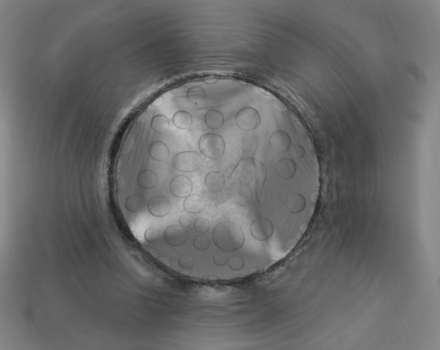 X0000113050346200910081236