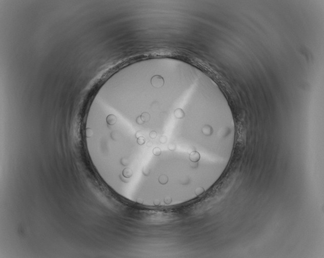 X0000113050347200910081236