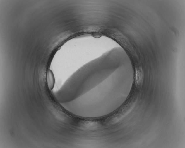 X0000113050348200910081236