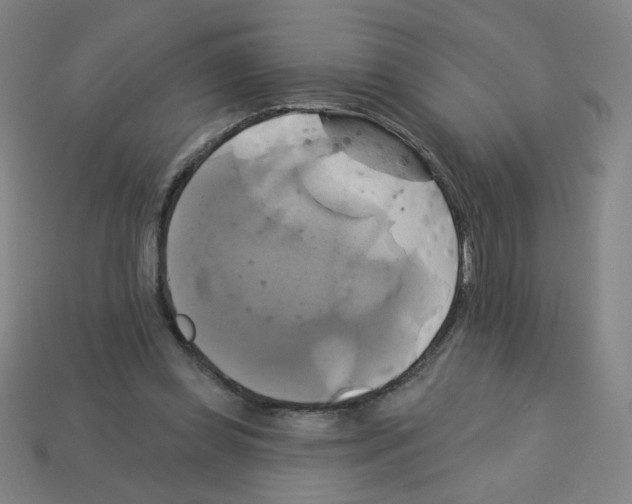 X0000113050349200910081236