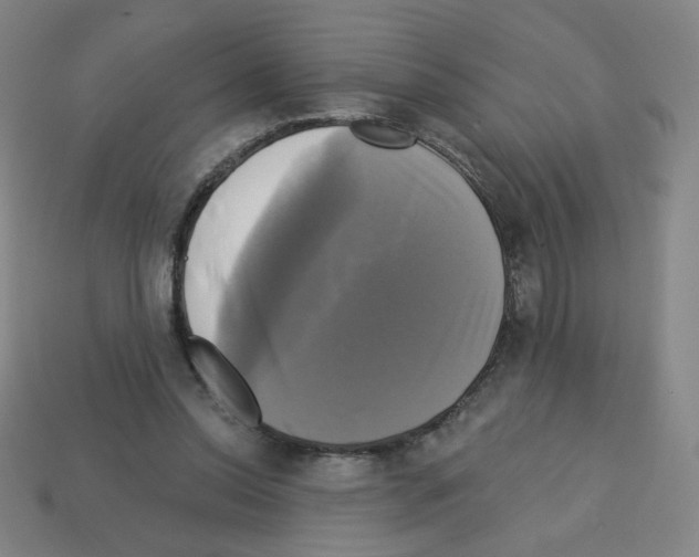 X0000113050350200910081236