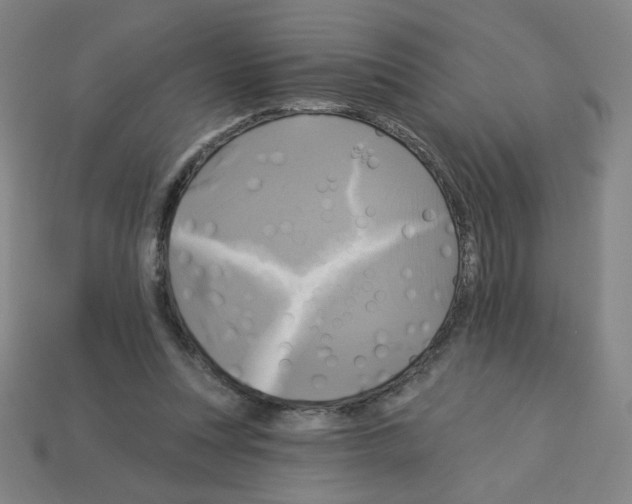 X0000113050351200910081236