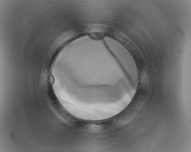 X0000113050352200910081236