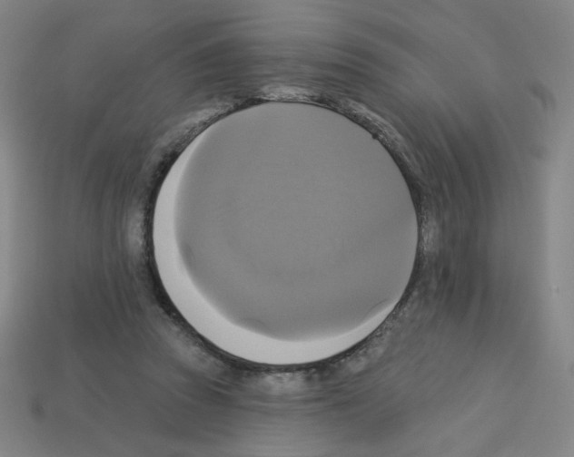 X0000113050353200910081236