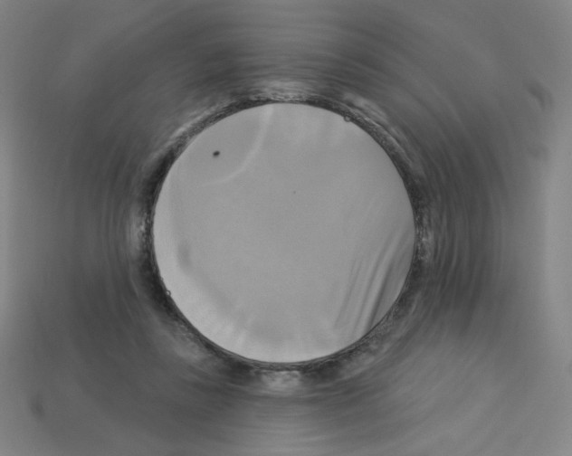 X0000113050355200910081236