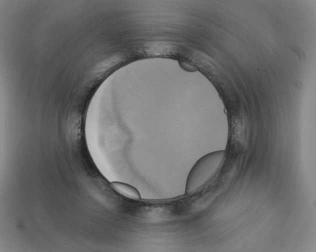 X0000113050356200910081236