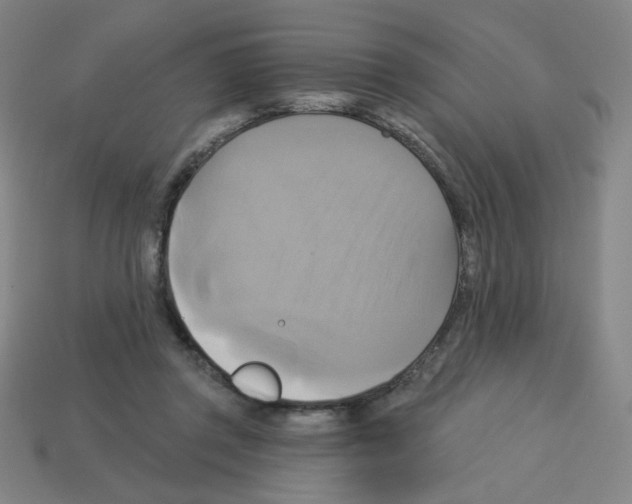 X0000113050357200910081236