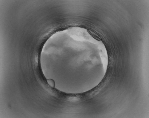X0000113050358200910081236