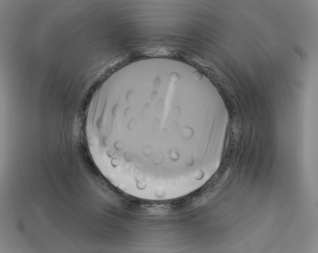 X0000113050359200910081236