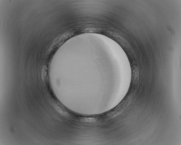 X0000113050361200910081236