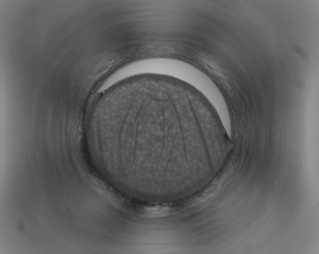 X0000113050362200910081236