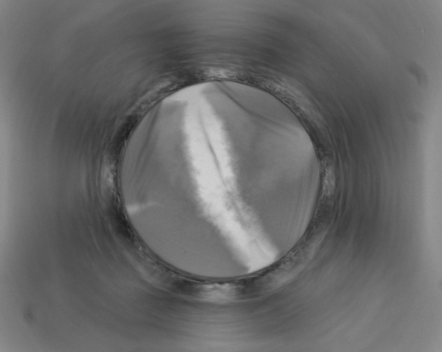 X0000113050363200910081236