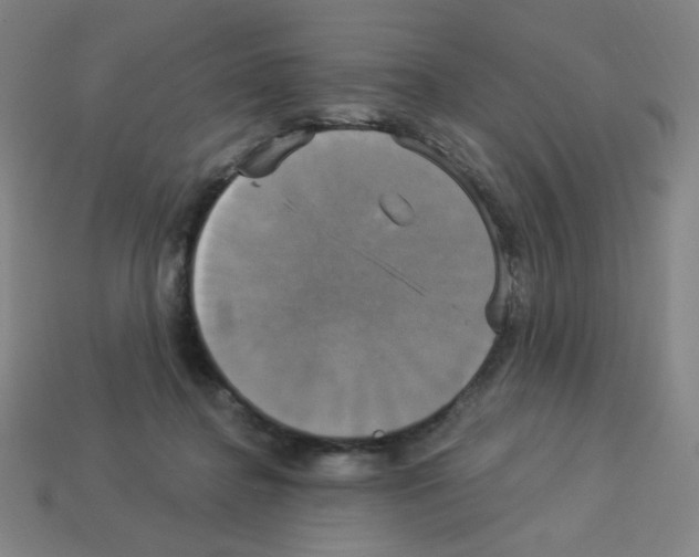 X0000113050364200910081236