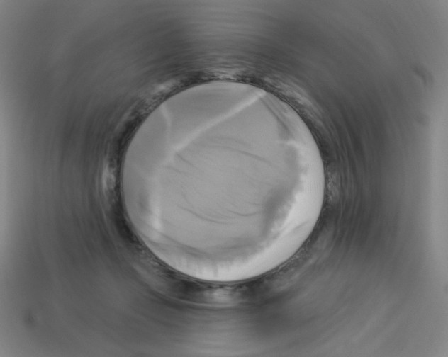 X0000113050365200910081236