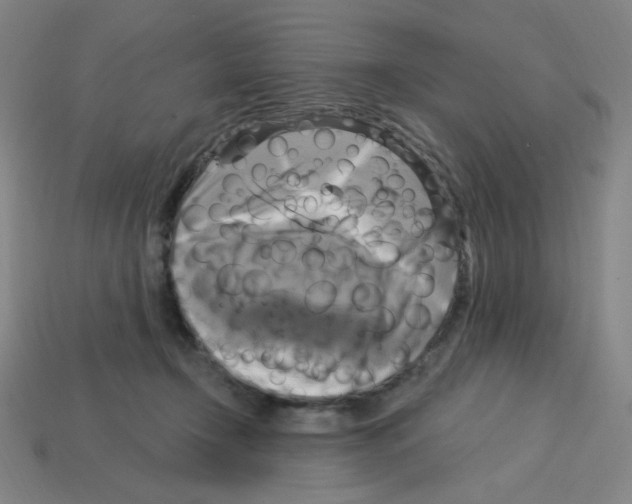 X0000113050366200910081236