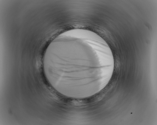 X0000113050367200910081236