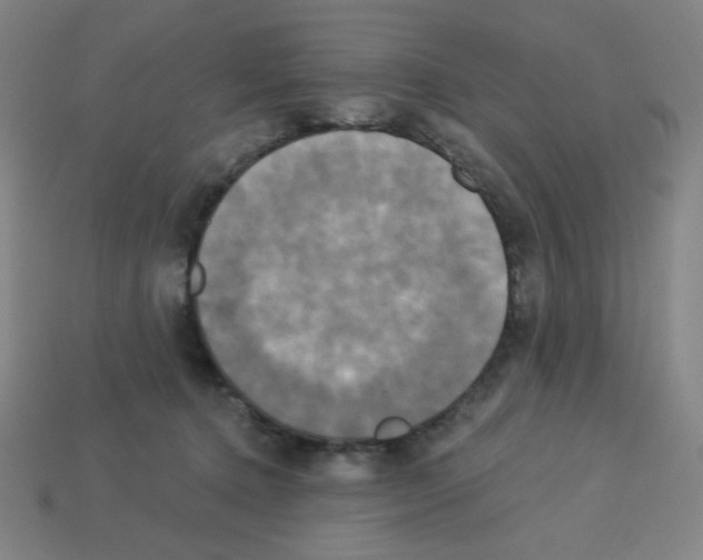 X0000113050368200910081236