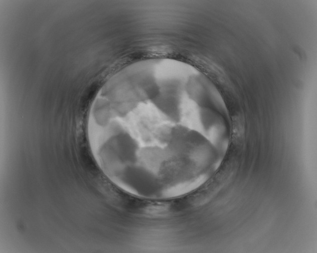 X0000113050369200910081236