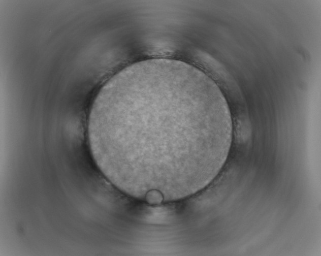 X0000113050370200910081236