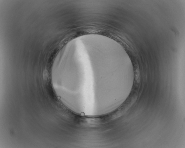 X0000113050371200910081236