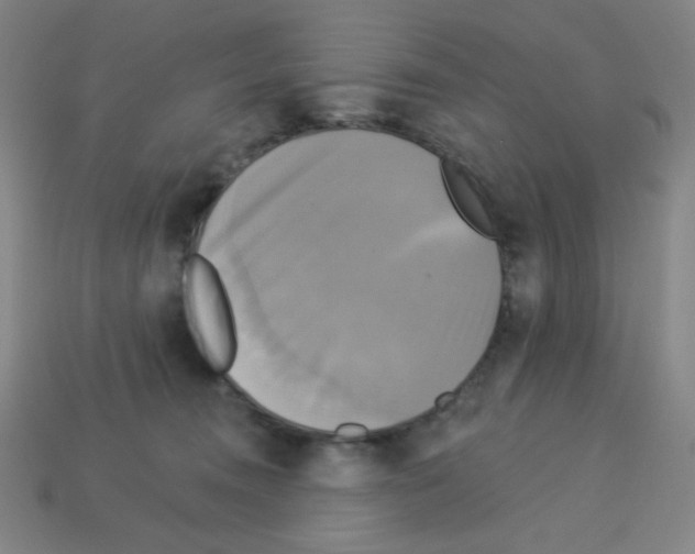 X0000113050372200910081236