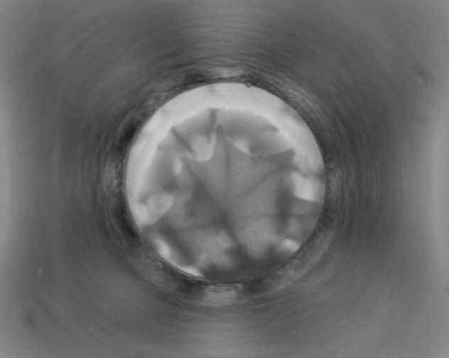 X0000113050373200910081236