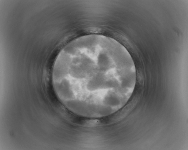 X0000113050374200910081236
