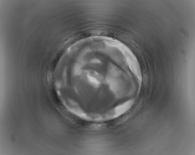 X0000113050375200910081236