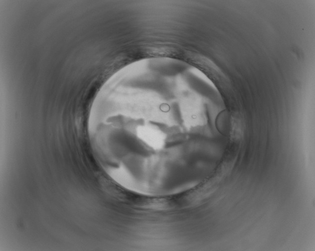 X0000113050377200910081236