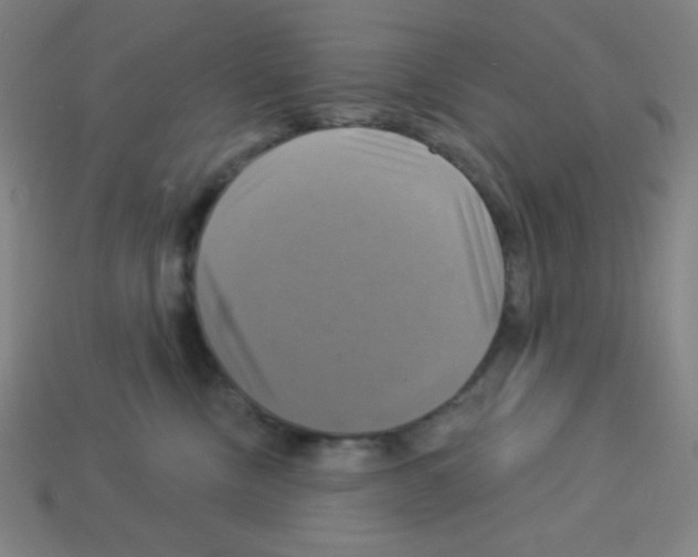 X0000113050378200910081236