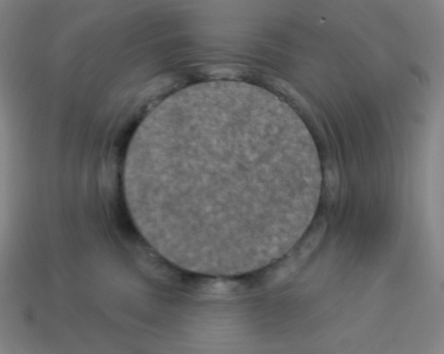 X0000113050379200910081236
