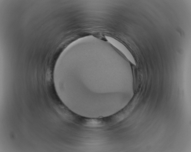 X0000113050380200910081236