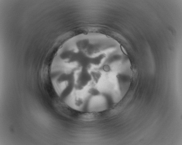 X0000113050381200910081236