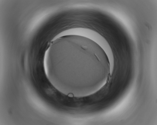 X0000113050382200910081236