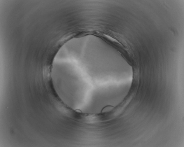 X0000113050383200910081236