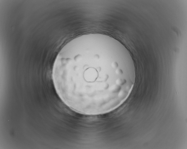 X0000113050384200910081236