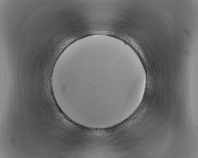 X0000113050385200910081236