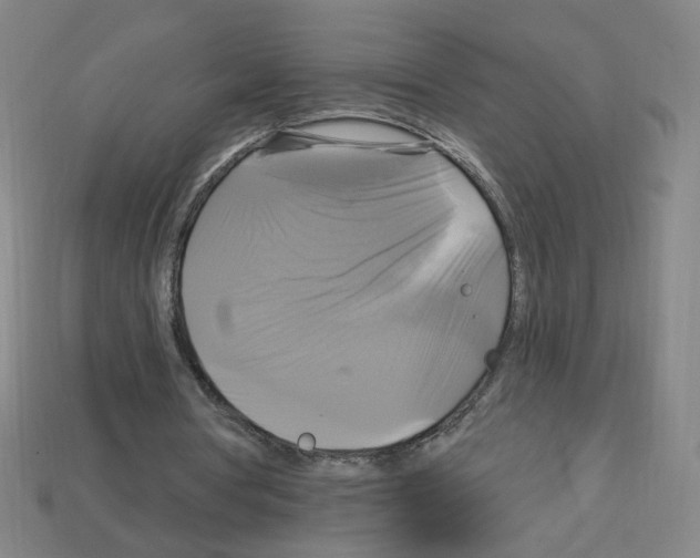 X0000113050386200910081236