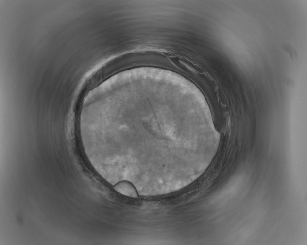 X0000113050388200910081236