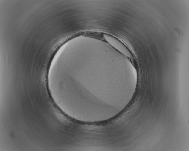 X0000113050389200910081236