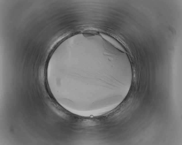 X0000113050390200910081236