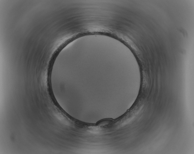 X0000113050391200910081236