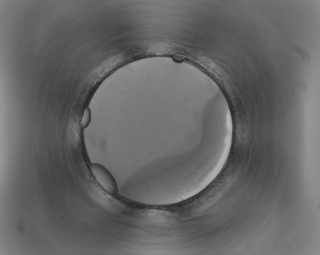 X0000113050393200910081236