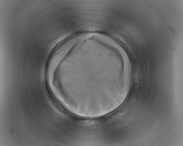 X0000113050394200910081236