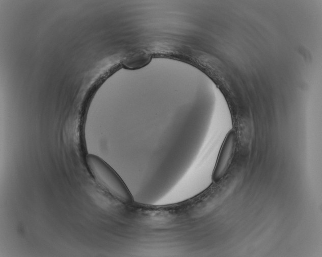 X0000113050395200910081236
