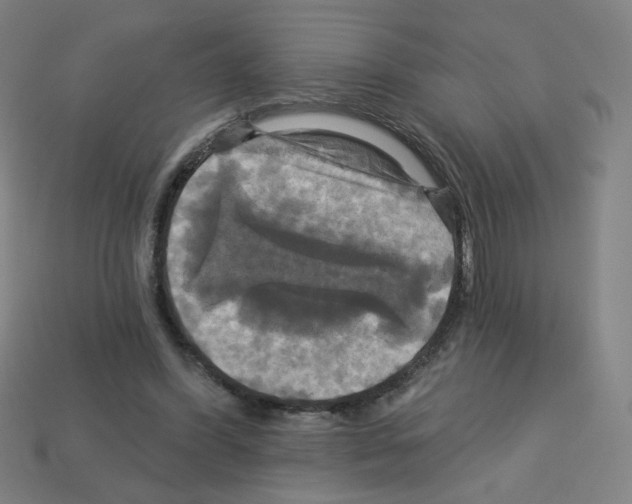 X0000113050396200910081236