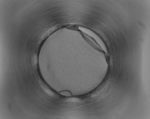 X0000113050397200910081236