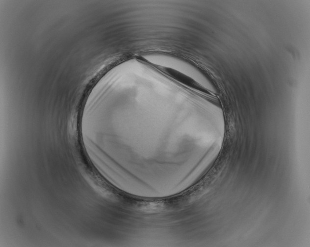 X0000113050398200910081236