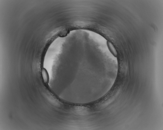 X0000113050399200910081236