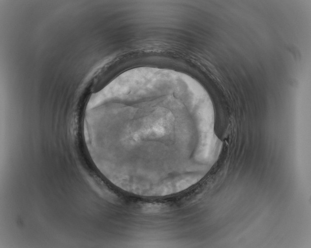 X0000113050400200910081236